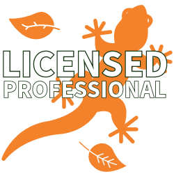 Licensed Professional 